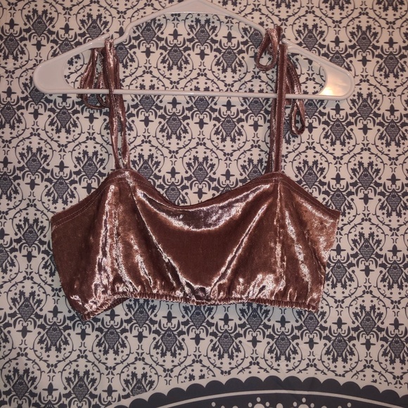 SHEIN Tops - NWOT Pink Velvet Shein Bralette